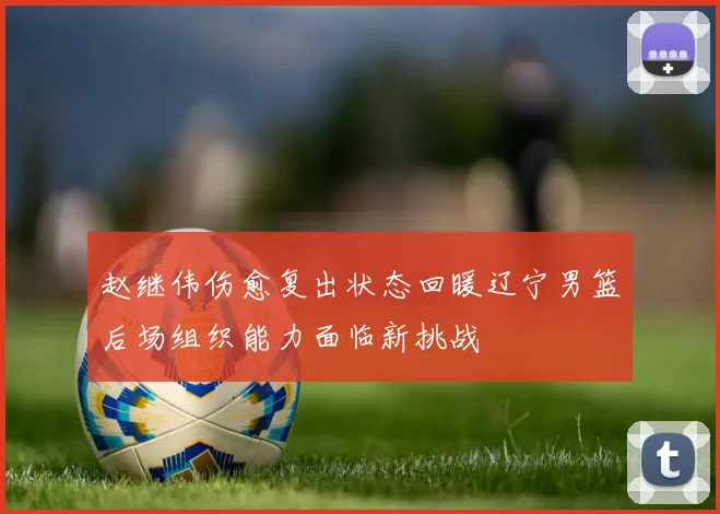 赵继伟伤愈复出状态回暖辽宁男篮后场组织能力面临新挑战