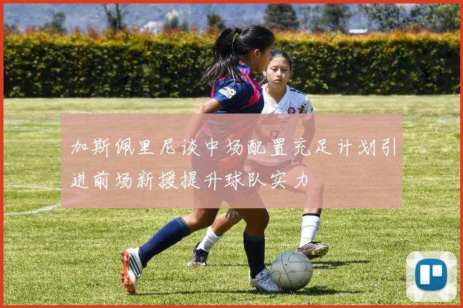 加斯佩里尼谈中场配置充足计划引进前场新援提升球队实力
